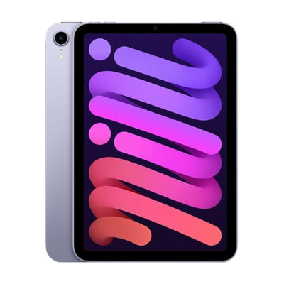 iPad mini 6(2021) Purple