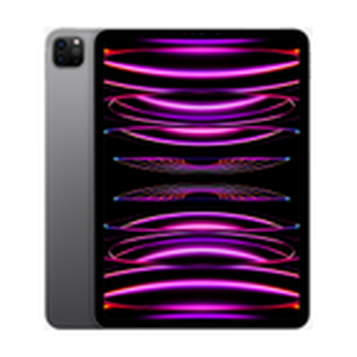 iPad Pro 11-inch Gen 2（2020） Space Gray